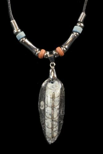 Fossil Orthoceras (Devonian Cephalopod) Necklace #43108